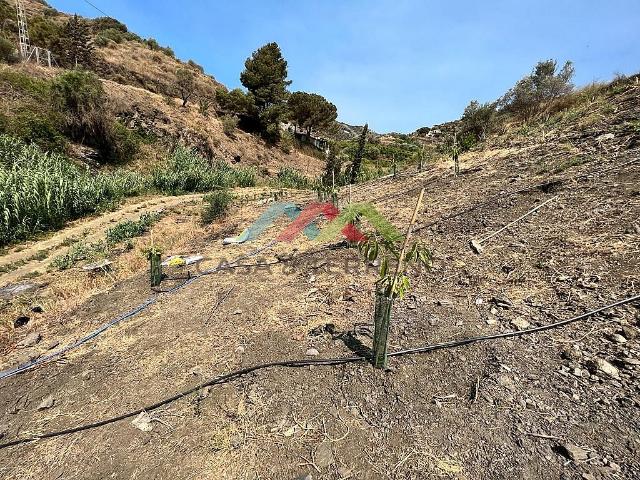 Terreno en venta en Málaga, El Peñoncillo