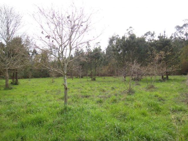 Local Comercial en venta en Brión, Santiago