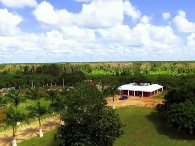 Finca amueblada en venta en Muna, Yucatán