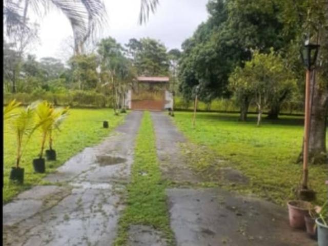 Finca en venta en Higuerote, Miranda