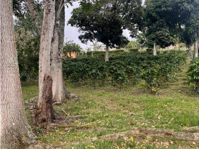 Finca en venta en Boconó, Trujillo