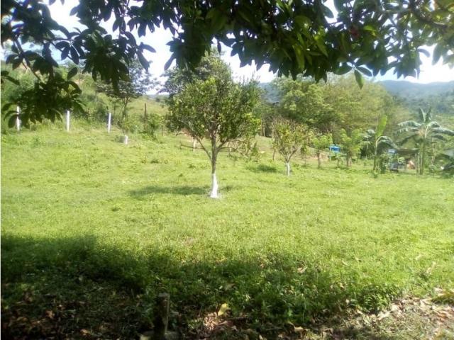 Finca en venta en Valencia, Carabobo