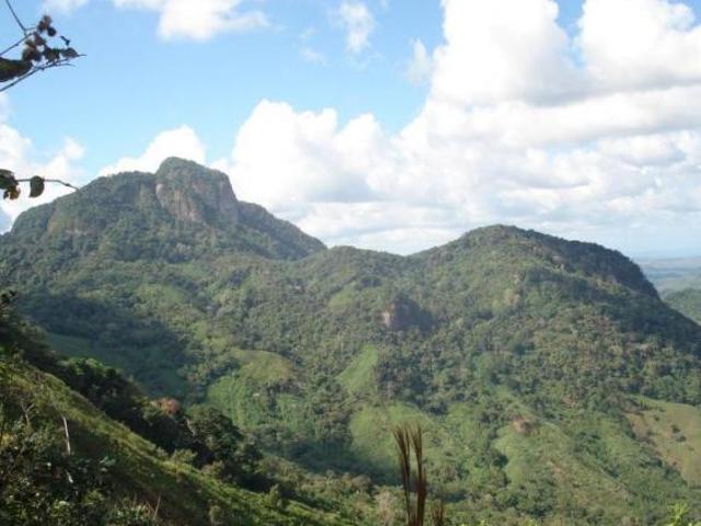 Finca Capira ID 13081