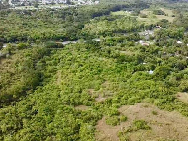 FINCA CERCA DE PLAYA BIJAO_EXCELENTE PRECIO