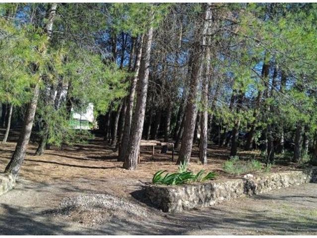 Local Comercial en venta en Quesada, Andalucía