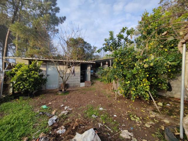 Casa Rural en venta en Ourense, Galicia
