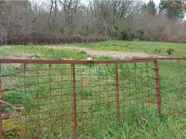 Casa Rural en venta en San Cibrao das Viñas, Ourense