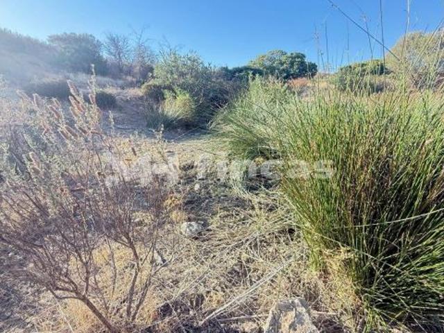 Local Comercial en venta en El Manjón, Almonaster la Real