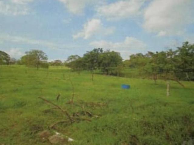 Finca Chiriquí, Boquerón, producción lechera de 175 hectáreas