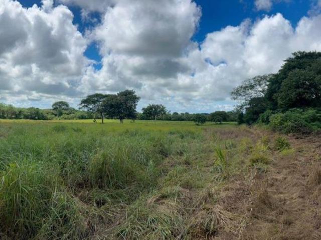 Finca Cienaga Vieja. Anton 72h plano colinda con rio la estancia