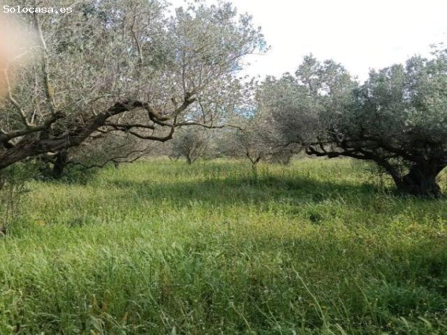 Casa en venta en Baix Ebre, Catalunya
