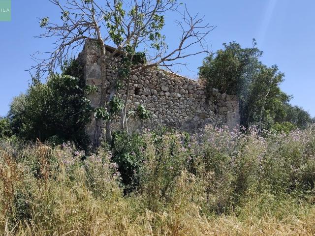 Terreno en venta en Pla de Mallorca, Baleares