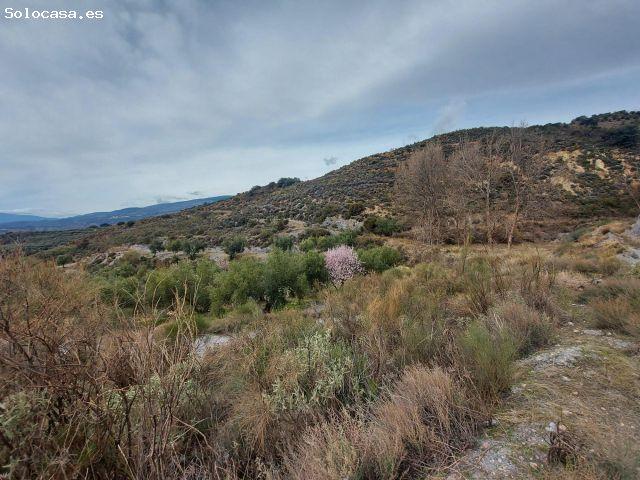 Local Comercial en venta en Laroles, Nevada