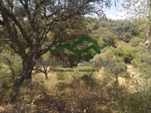 Casa en venta en Serranía de Ronda, Andalucía