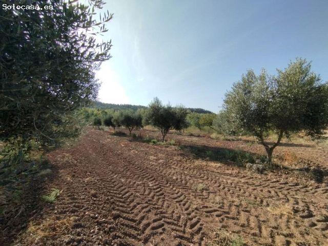 Local Comercial en venta en Matarraña / Matarranya, Torre Del Compte