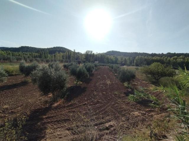 Chalet en venta en Matarraña / Matarranya, Torre Del Compte