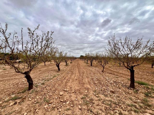 Casa Rural en venta en Valladolises y Lo Jurado, Campo de Cartagena y Mar Menor
