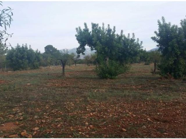 Local Comercial en venta en Raiguer, Baleares