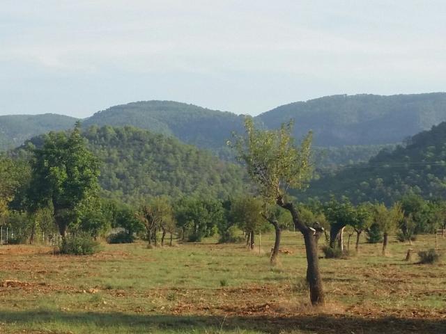 Chalet en venta en Crist Rei, Raiguer
