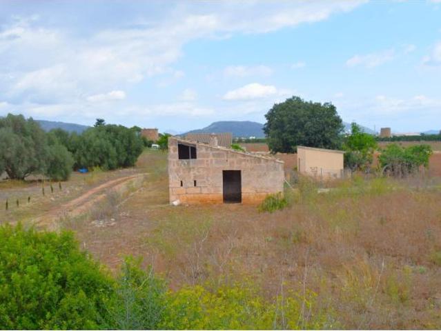 Local Comercial en venta en Pla de Mallorca, Baleares