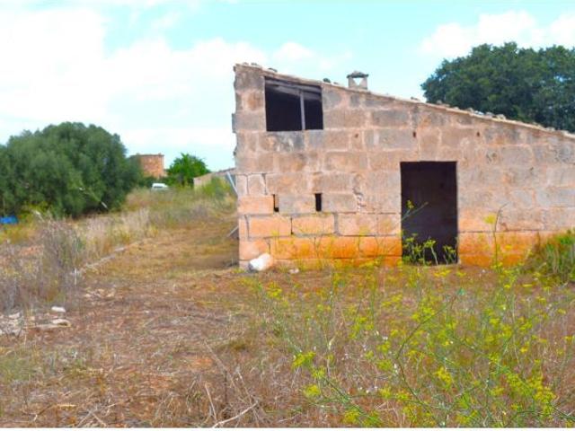 Local Comercial en venta en Pla de Mallorca, Baleares