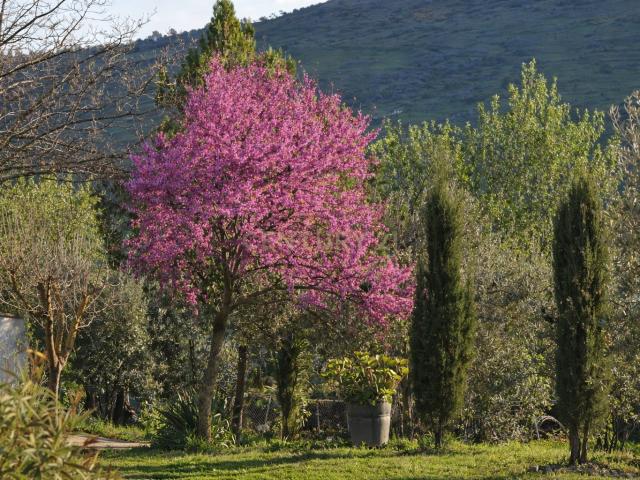 Casa Rural en venta en Zafra - Río Bodión, Extremadura