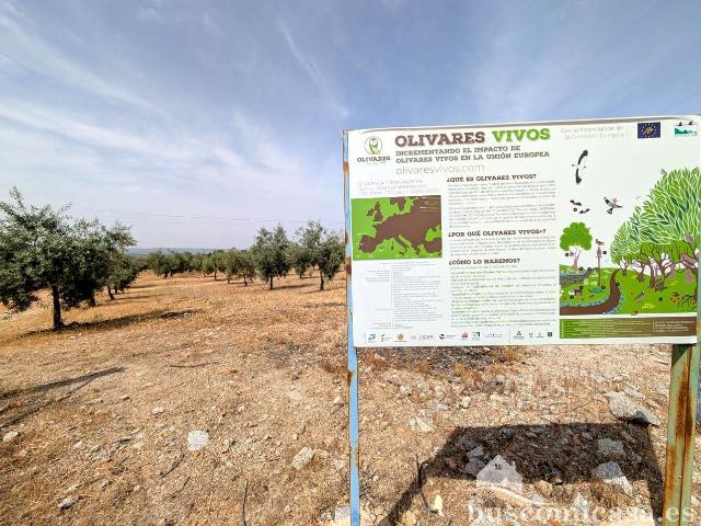 Terreno en venta en Linares, Andalucía