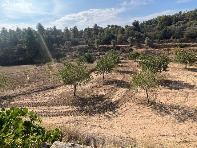 Local Comercial en venta en Matarraña / Matarranya, Valjunquera