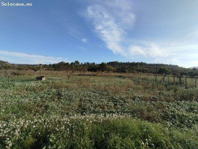 Local Comercial en venta en Caseres