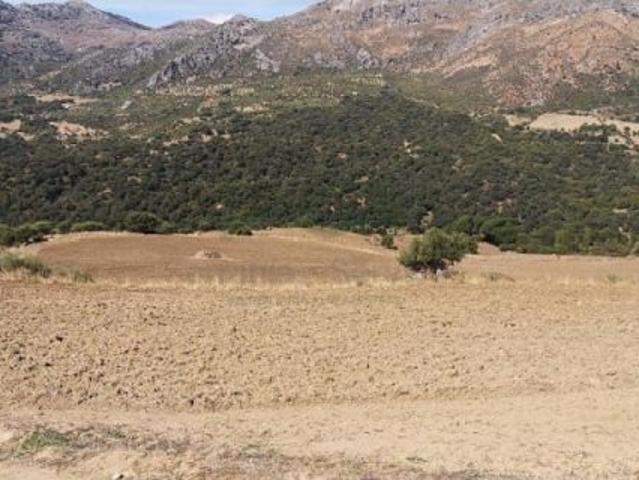 Casa en venta en Serranía de Ronda, Andalucía