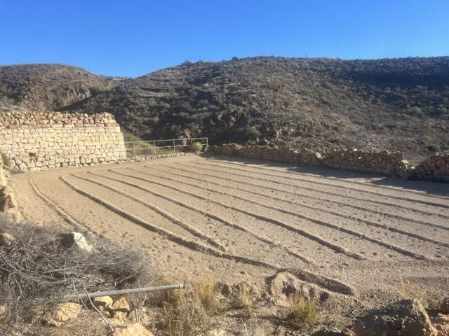 Finca en venta en Granadilla de Abona, Canarias