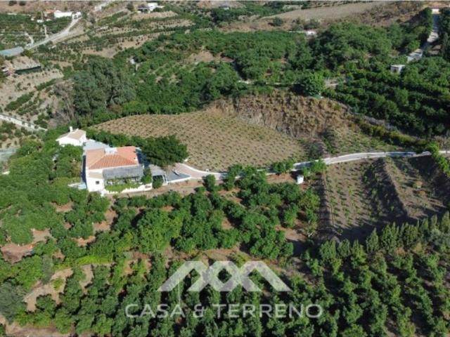 Finca en venta en Vélez-málaga, Cruz del Cordero