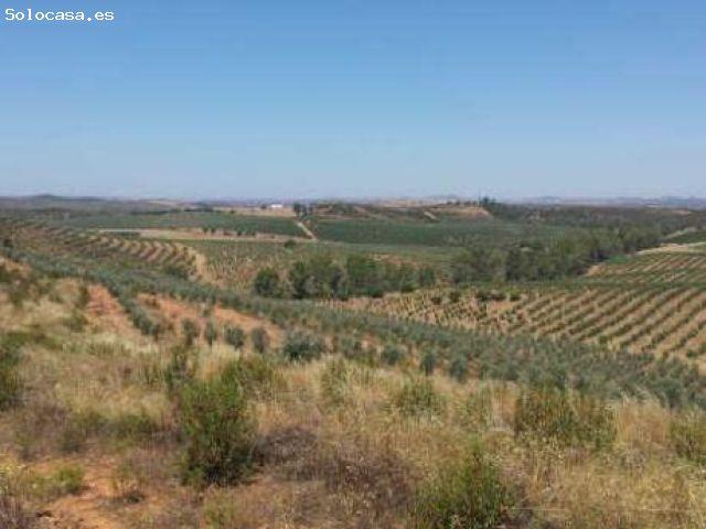 Local Comercial en venta en El Andévalo, Andalucía