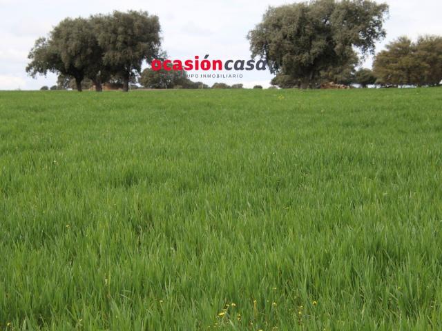 Chalet en venta en Peñarroya-pueblonuevo, Andalucía