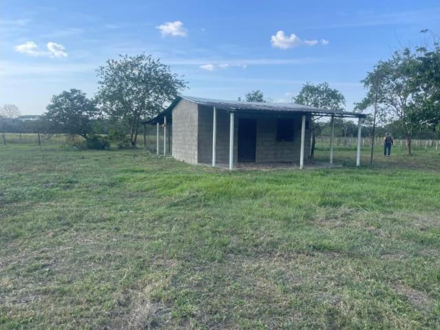 Finca en venta en Ramón Ignacio Méndez, Barinas