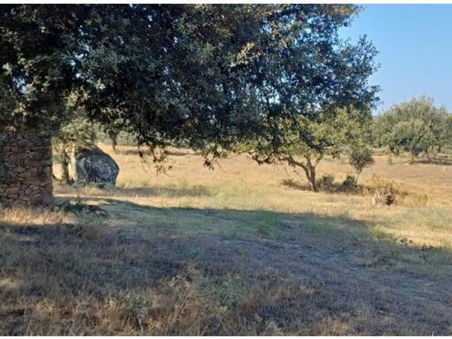 Local Comercial en venta en Santibáñez El Bajo, Extremadura