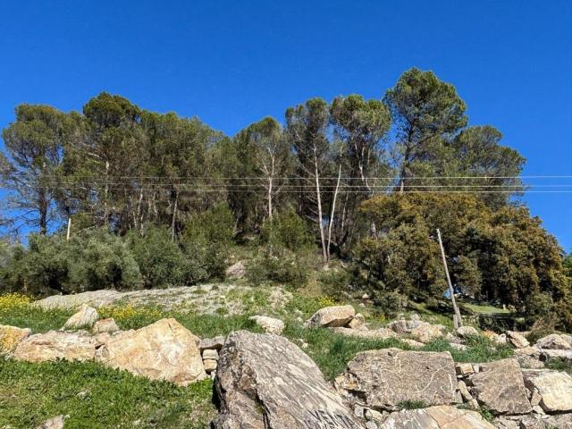 Terreno en venta en Barrio Alto, Comarca de Loja