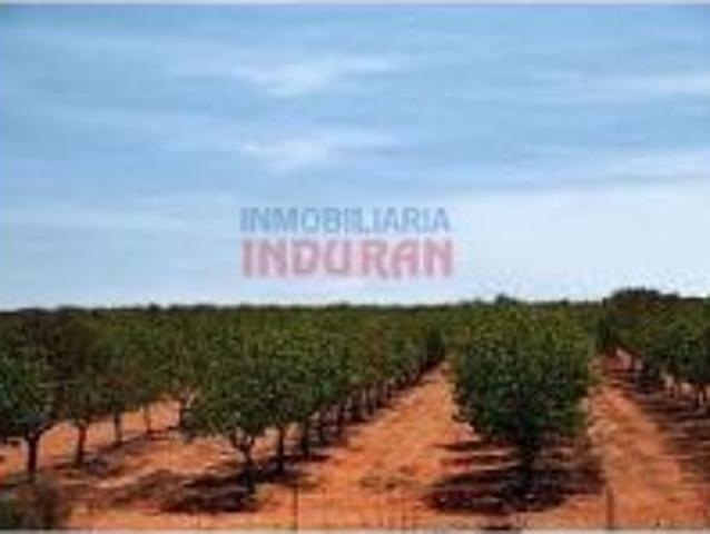 Casa en venta en Fuencaliente, Castilla-La Mancha