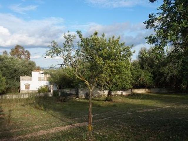 Finca en venta en Binissalem