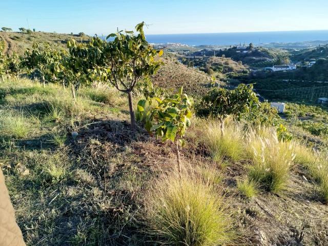 Terreno en venta en Almayate Bajo, La Axarquía