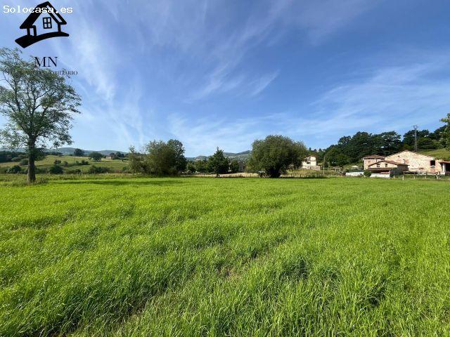 Local Comercial en venta en Villafufre, Cantabria
