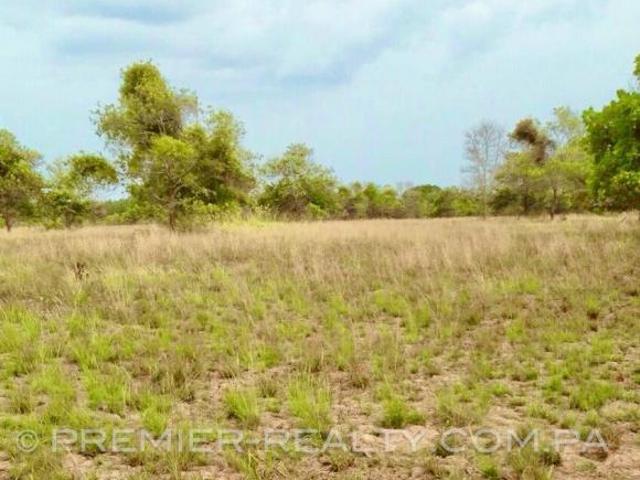 FINCA DE 44 HECTÁREAS EN SANTA CLARA