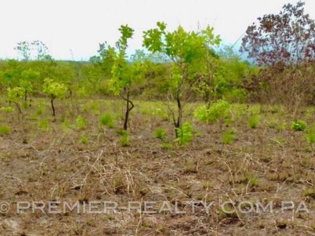 FINCA DE 44 HECTÁREAS EN SANTA CLARA