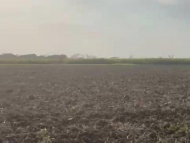 Finca en venta en Gua, Portuguesa