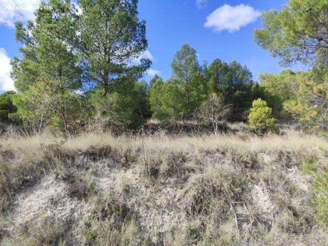 Local Comercial en venta en Noroeste, Murcia