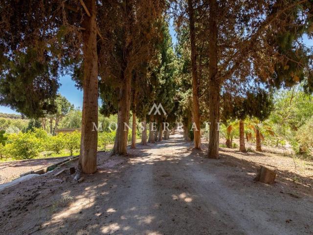 Finca en venta en Náquera, Valencia