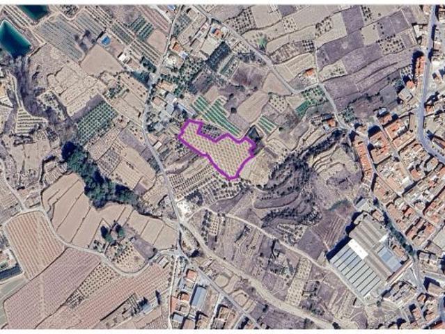 Local Comercial en venta en Río Mula, Murcia