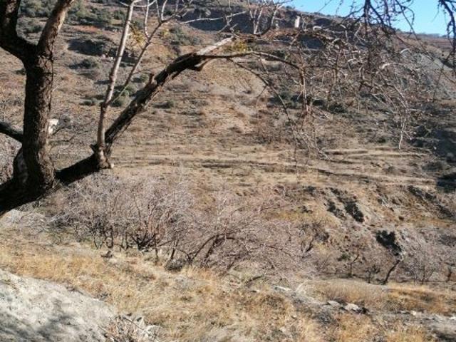 Local Comercial en venta en Laroles, Comarca de la Alpujarra Granadina