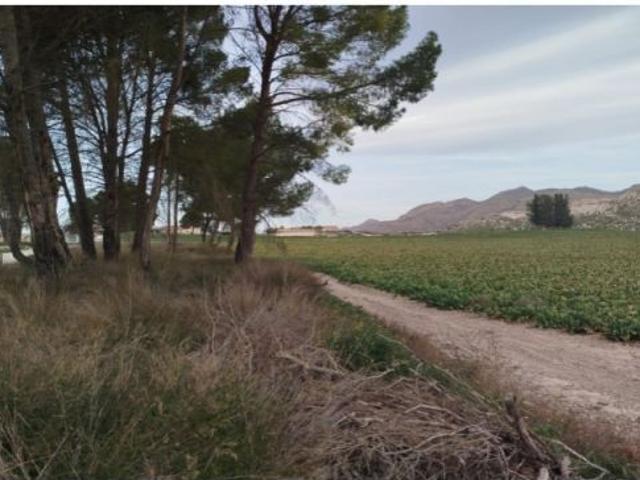 Casa en venta en Vereda, Albacete