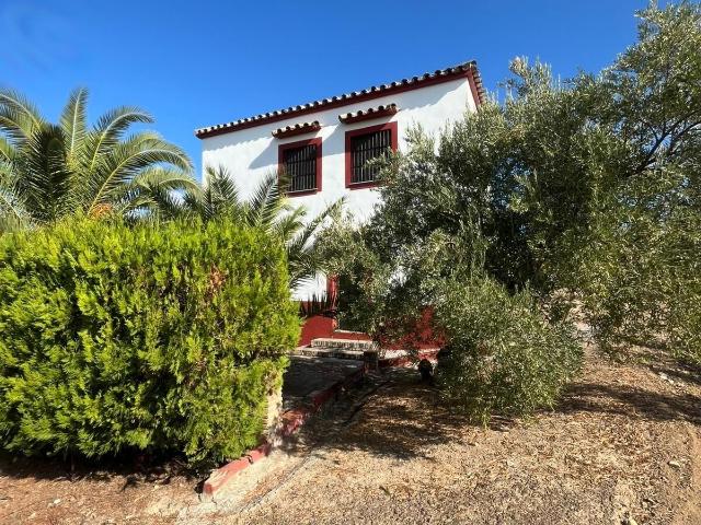 Terreno en venta en Espejo, Andalucía